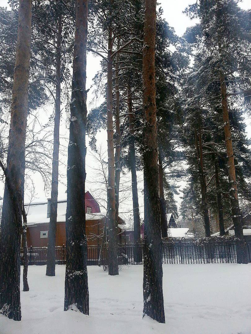 Природа Болшева.